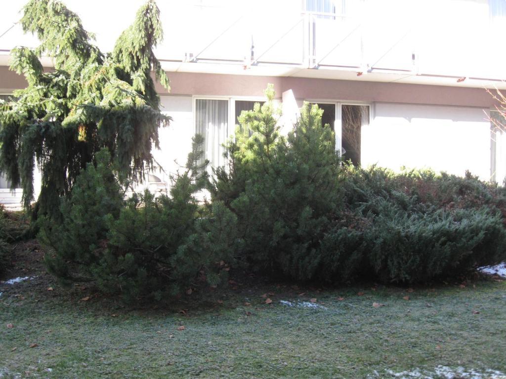 Holiday Apartments Warmbad 빌라흐 외부 사진